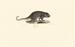  alkotó: Jacques Christophe Werner