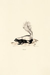  alkotó: Jacques Christophe Werner