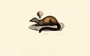  alkotó: Jacques Christophe Werner