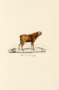  alkotó: Jacques Christophe Werner