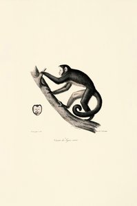  alkotó: Jacques Christophe Werner