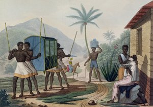 Egy palankin, akit az Ile de France-on hordanak, a „Voyage Autour du Monde sur les Corvettes de L