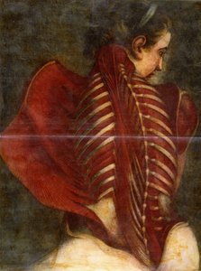 A lenyúzott angyal, 1745 körül