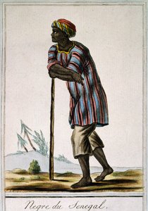 Senega Negro, színes metszet az Encyclopedia des Voyagesből, Jacques Grasset de Saint-Sauveur (1757-1810) alkotó: Jacques Grasset de Saint Sauveur