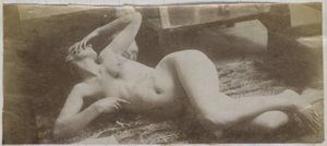 Egy tigrisbőrön fekvő női meztelen modell tanulmányozása Jacques de Lalaing stúdiójában alkotó: Jacques Lalaing (attributed to)
