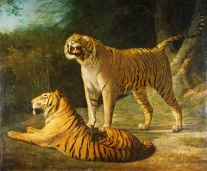 Egy tigris és tigris az exeteri "Change Menagerie"-ben 1808-ban, 1808-ban