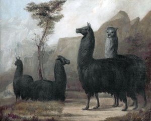 Alpakák alkotó: Jacques-Laurent Agasse