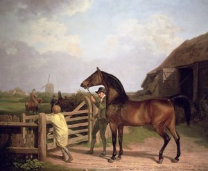"Bay Ascham", egy mén egy kapun át vezetett egy kancához, 1804