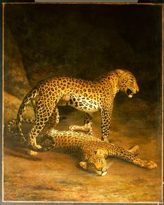 Két leopárd hever az exeteri börzén, 1808 alkotó: Jacques-Laurent Agasse