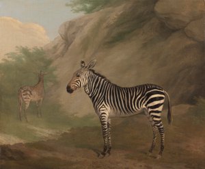 Zebra alkotó: Jacques-Laurent Agasse