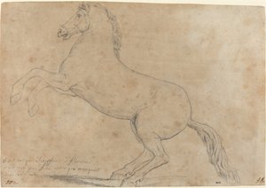 Egy antik lószobor alkotó: Jacques Louis David