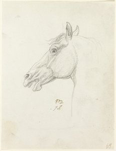 Lófej alkotó: Jacques Louis David