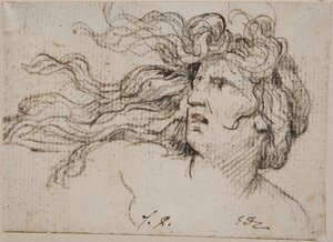 Női fej lobogó hajjal alkotó: Jacques Louis David