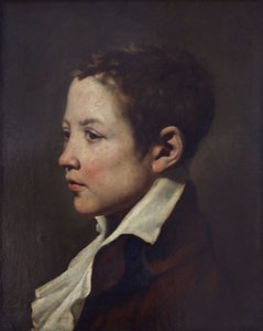 Egy fiatal fiú portréja alkotó: Jacques Louis David