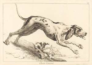 Chien courent (futókutya)