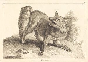 Renard (róka)