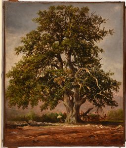 Le Vieux chêne alkotó: Jacques Raymond Brascassat