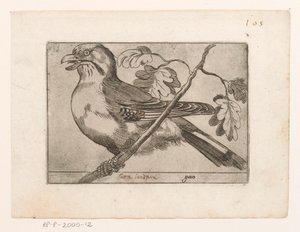 Gaai Gaio (cím az objektumon) Vogels (sorozat címe) alkotó: Jacques de Fornazeris (possibly)