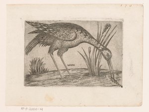 Vogel Tartena (cím az objektumon) Vogels (sorozat címe) alkotó: Jacques de Fornazeris (possibly)