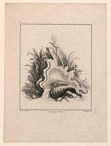 Escutcheon, a "Recueil Nouveau de Differens Cartouche"-ból