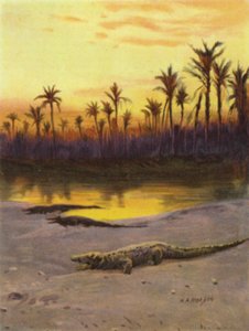 Krokodil (naplemente) a Felső-Nílus partján (színes litho)