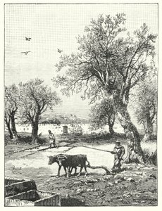 Szántás szőlőben (litho) alkotó: James (after) Clark