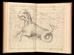 Atlas coelestis alkotó: James (after) Thornhill