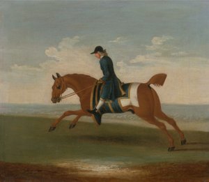 Gesztenyebarna versenyló edzésben egy kék kabátos edző által (olaj, vászon) alkotó: James (attr.) Seymour