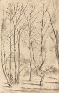 A Dam Wood, 1875. alkotó: James Abbott McNeill Whistler