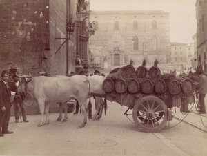 Kocsi ökrökkel, Perugia, 1880-as évek.