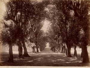 Villa Borghese alkotó: James Anderson