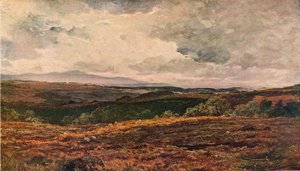 A határvidék, 1904