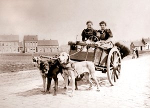 Kutyák húzzák a nőket a szekéren, Antwerpen, 1898.