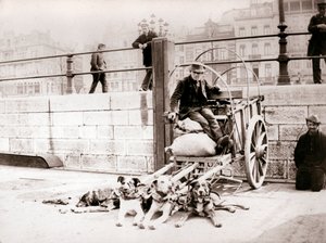 Ember kutyakocsival, Antwerpen, 1898. alkotó: James Batkin