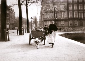 Nő kutyakocsival, Rotterdam, 1898.