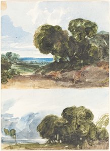 Két vázlat a fákról alkotó: James Bulwer