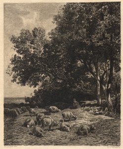 Táj és juhok alkotó: James David Smillie