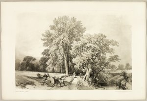 Ábel és tölgy, a Park és az erdőből alkotó: James Duffield Harding