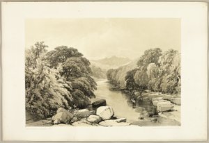 Kőris, platán és tölgy, a Park és az erdőből alkotó: James Duffield Harding