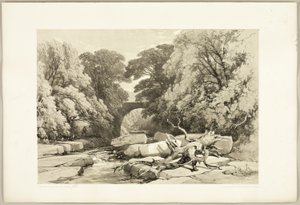 Hamu és éger a Grétán, a Park és az erdőből alkotó: James Duffield Harding