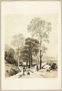 Nyír és tölgy, a Park és az erdőből alkotó: James Duffield Harding