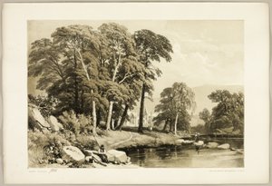 Fekete nyár, a Park és az erdőből alkotó: James Duffield Harding