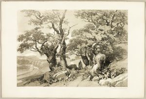 Old Oaks, a Park és az erdőből alkotó: James Duffield Harding