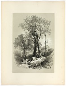 Shipley Bridge, Devon, a Picturesque Selections cégtől alkotó: James Duffield Harding