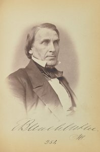 Elihu B. Washburne alkotó: James Earle McClees