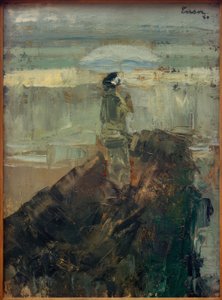 A hölgy a hullámtörőn alkotó: James Sidney Ensor