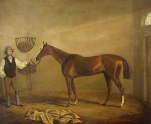 Bravissimo, a Monmouthshire Hunt Cup győztese Abergavennyben