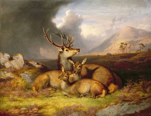 Felicity, Ben Lebrig a háttérben