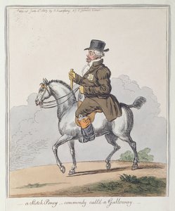 Egy skót póni, amelyet általában Galloway-nek hívnak, Hannah Humphrey adott ki 1803-ban (kézzel színezett rézkarc)