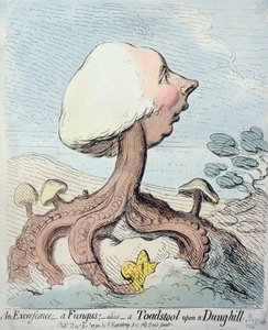 Egy excrescence; A gomba; Alias – A varangygomba a trágyadombon, Hannah Humphrey adta ki 1791-ben (vécével rézkarc)